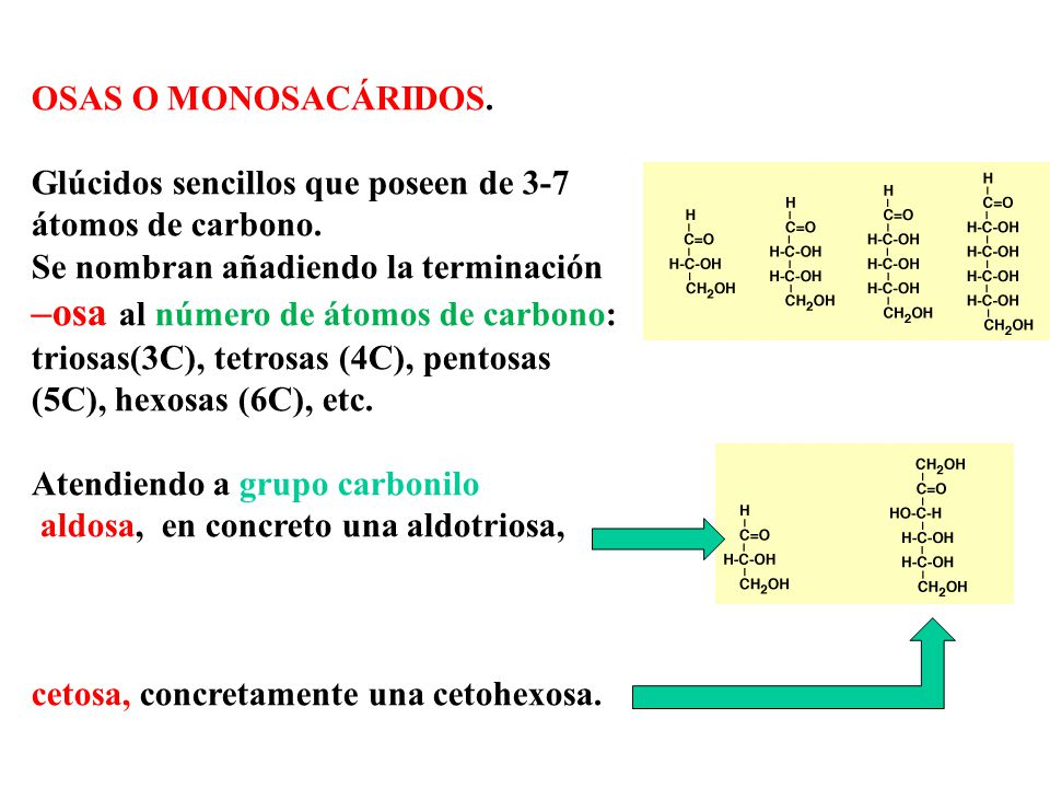 OSAS O MONOSACÁRIDOS. Glúcidos sencillos que poseen de 3-7 átomos de carbono. Se nombran añadiendo la terminación.