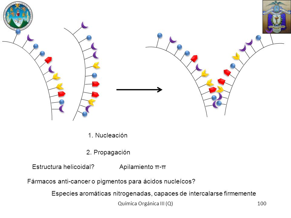 1. Nucleación 2. Propagación. Estructura helicoidal Apilamiento π-π. Fármacos anti-cancer o pigmentos para ácidos nucleícos