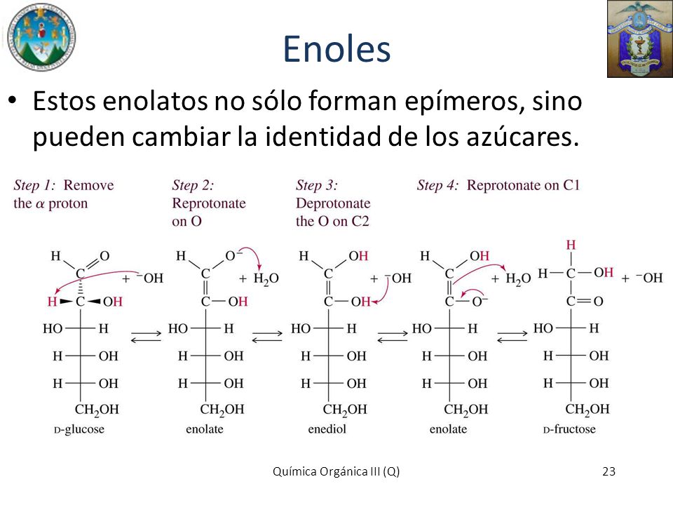 Enoles Estos enolatos no sólo forman epímeros, sino pueden cambiar la identidad de los azúcares.