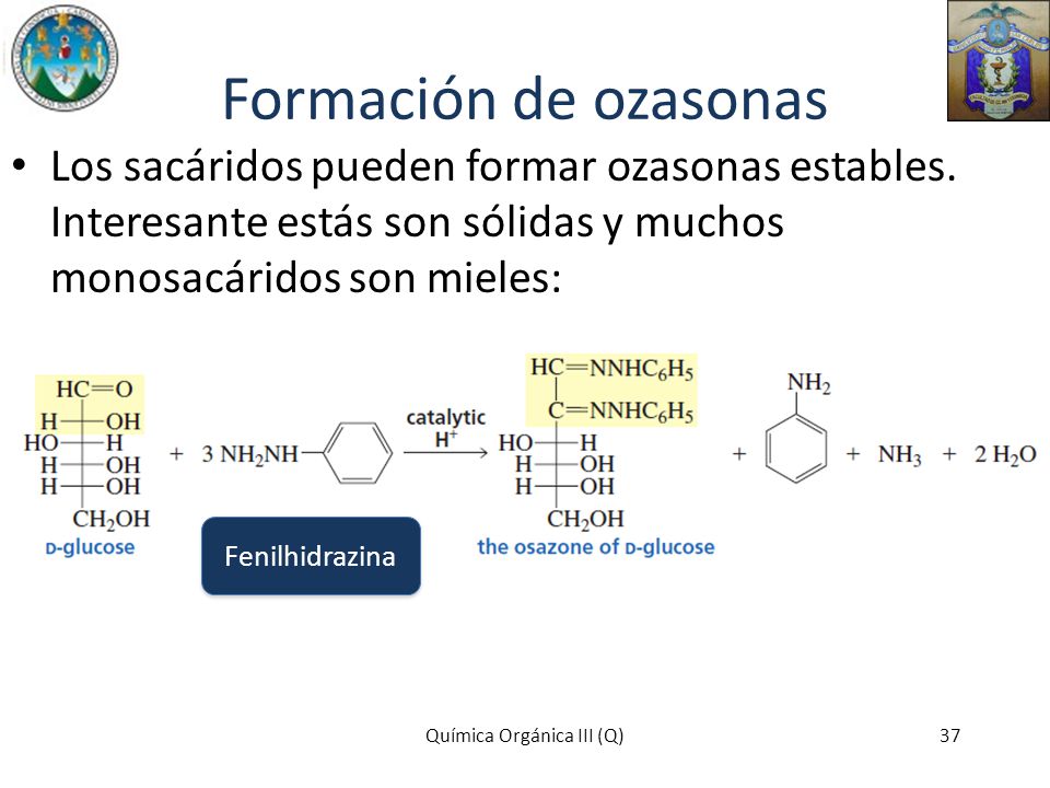 Formación de ozasonas Los sacáridos pueden formar ozasonas estables. Interesante estás son sólidas y muchos monosacáridos son mieles: