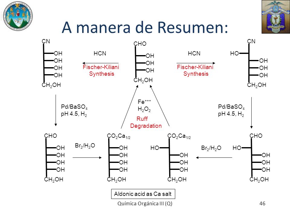 A manera de Resumen: OH HO CN CH2OH HCN Fischer-Kiliani Synthesis OH