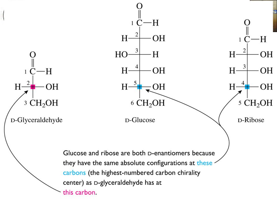 With many biological compounds, D and L are used rather than R and S