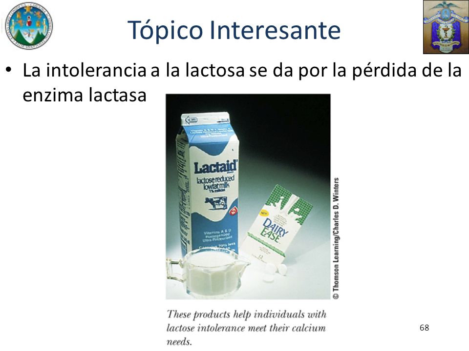 Tópico Interesante La intolerancia a la lactosa se da por la pérdida de la enzima lactasa