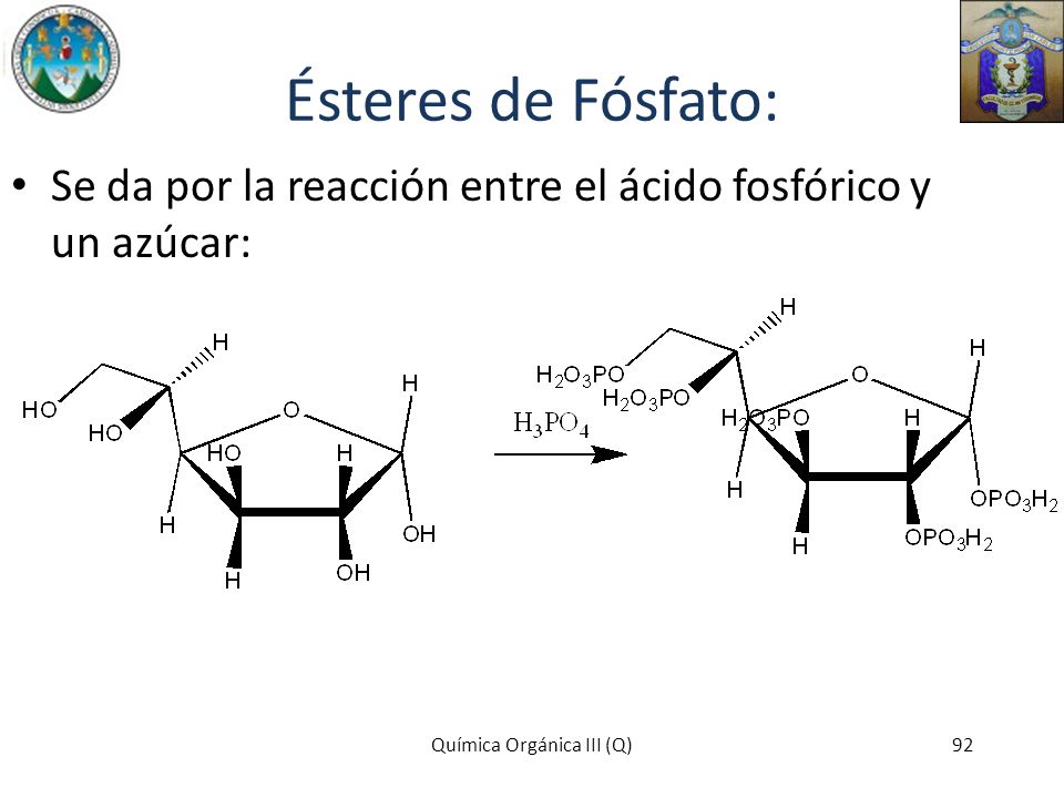 Ésteres de Fósfato: Se da por la reacción entre el ácido fosfórico y un azúcar: