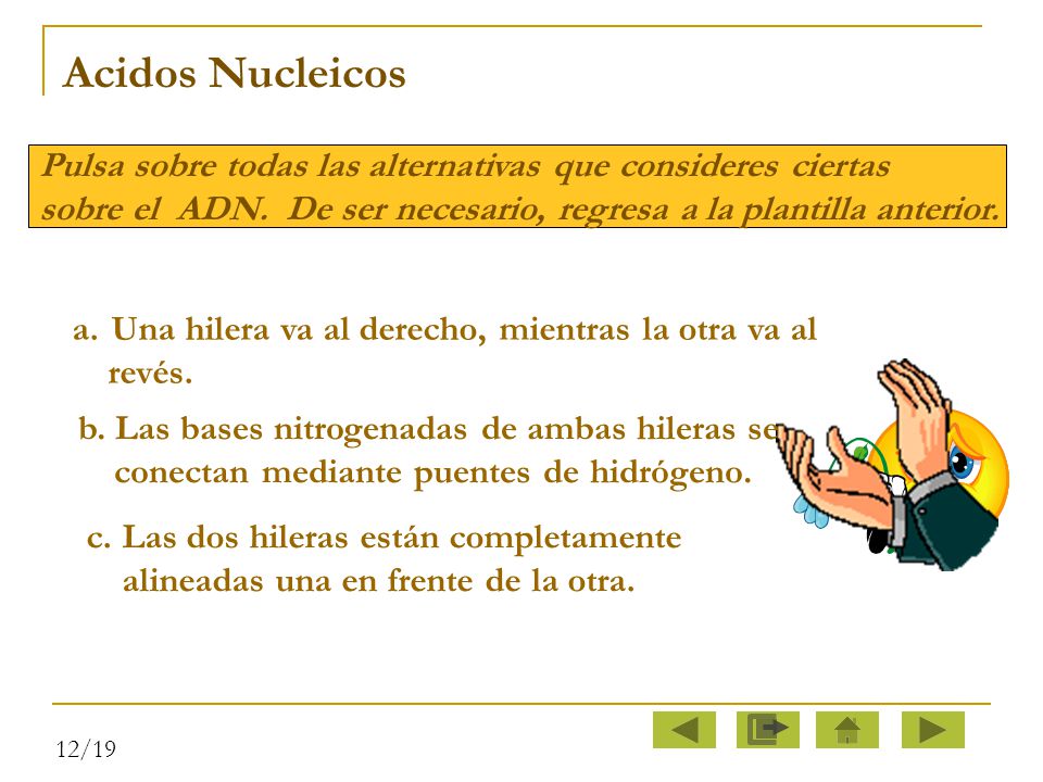 Acidos Nucleicos Pulsa sobre todas las alternativas que consideres ciertas. sobre el ADN. De ser necesario, regresa a la plantilla anterior.