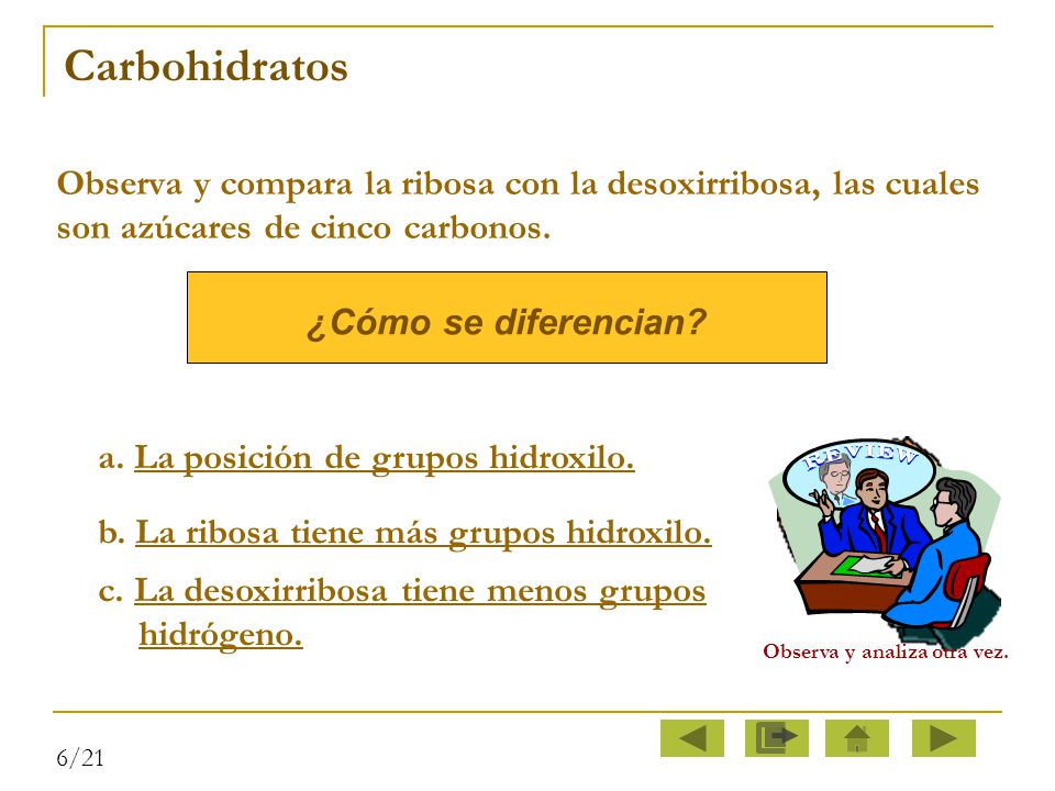 Carbohidratos Observa y compara la ribosa con la desoxirribosa, las cuales son azúcares de cinco carbonos.