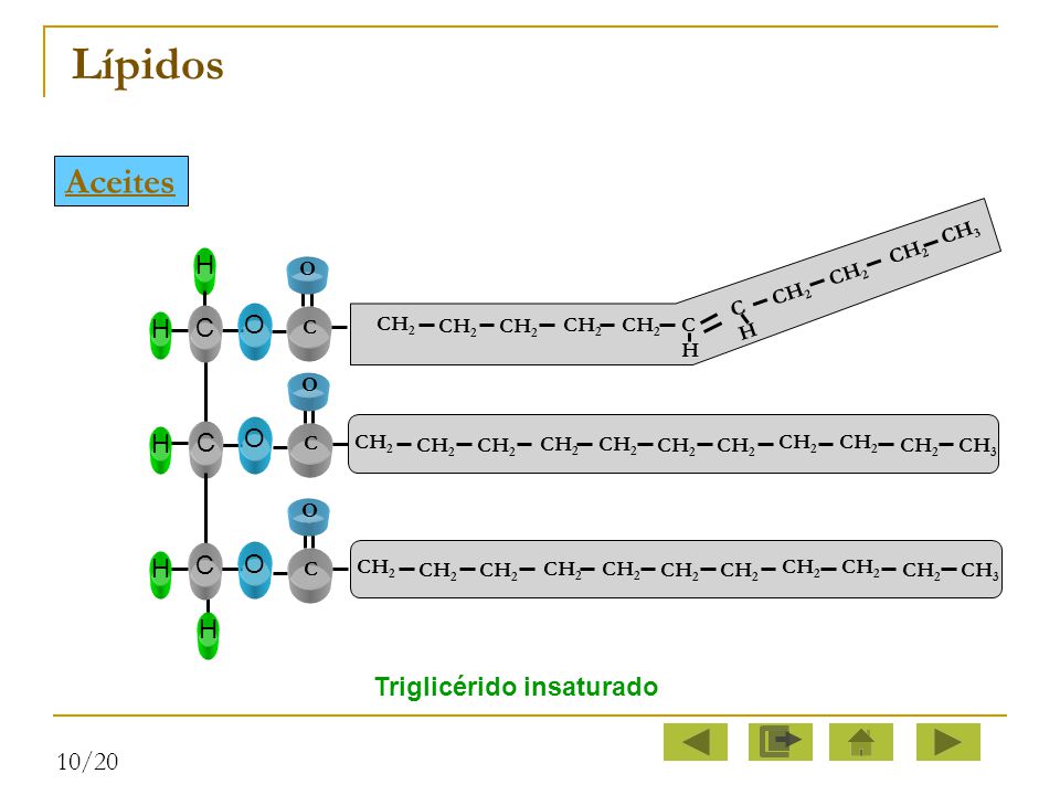 Lípidos Aceites C O H Triglicérido insaturado 10/20 C H CH2 CH3 O C