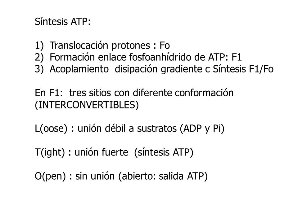 Síntesis ATP: Translocación protones : Fo. Formación enlace fosfoanhídrido de ATP: F1. Acoplamiento disipación gradiente c Síntesis F1/Fo.