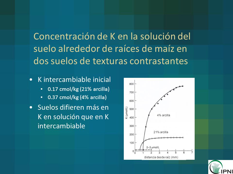 Concentración de K en la solución del suelo alrededor de raíces de maíz en dos suelos de texturas contrastantes