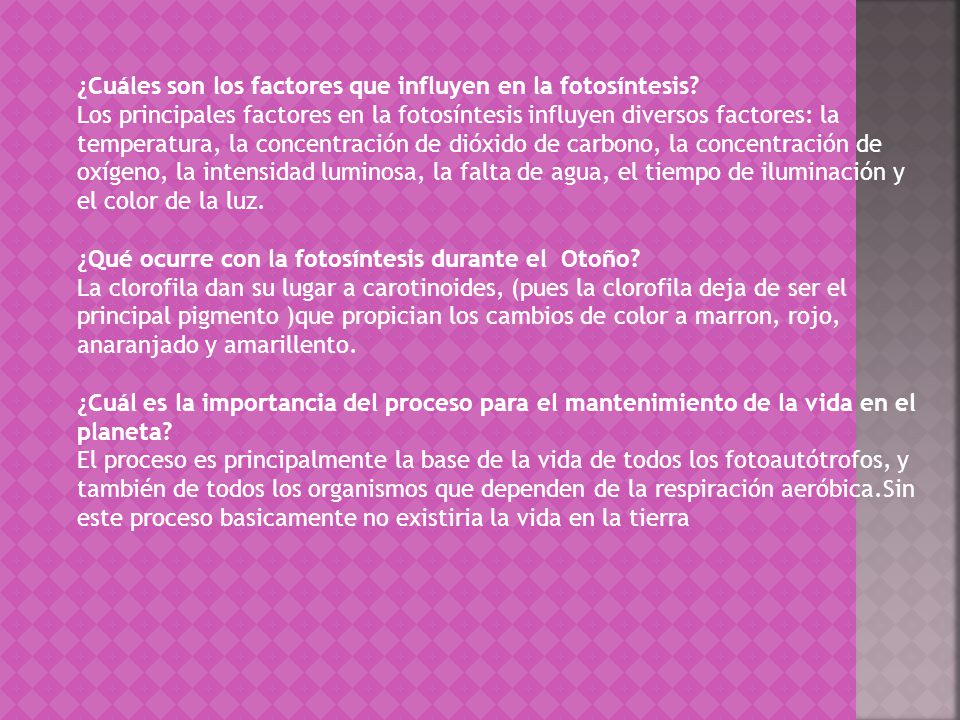 ¿Cuáles son los factores que influyen en la fotosíntesis