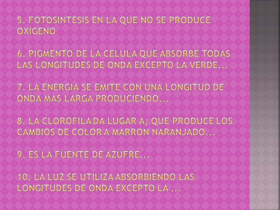 5. FOTOSINTESIS EN LA QUE NO SE PRODUCE OXIGENO 6