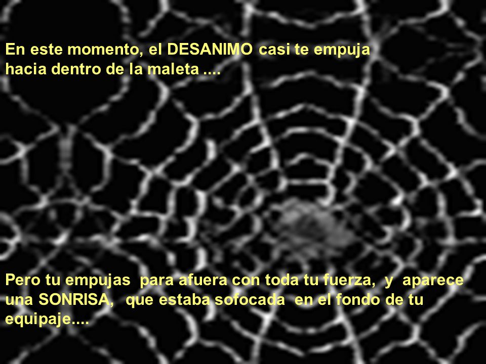 En este momento, el DESANIMO casi te empuja hacia dentro de la maleta ....