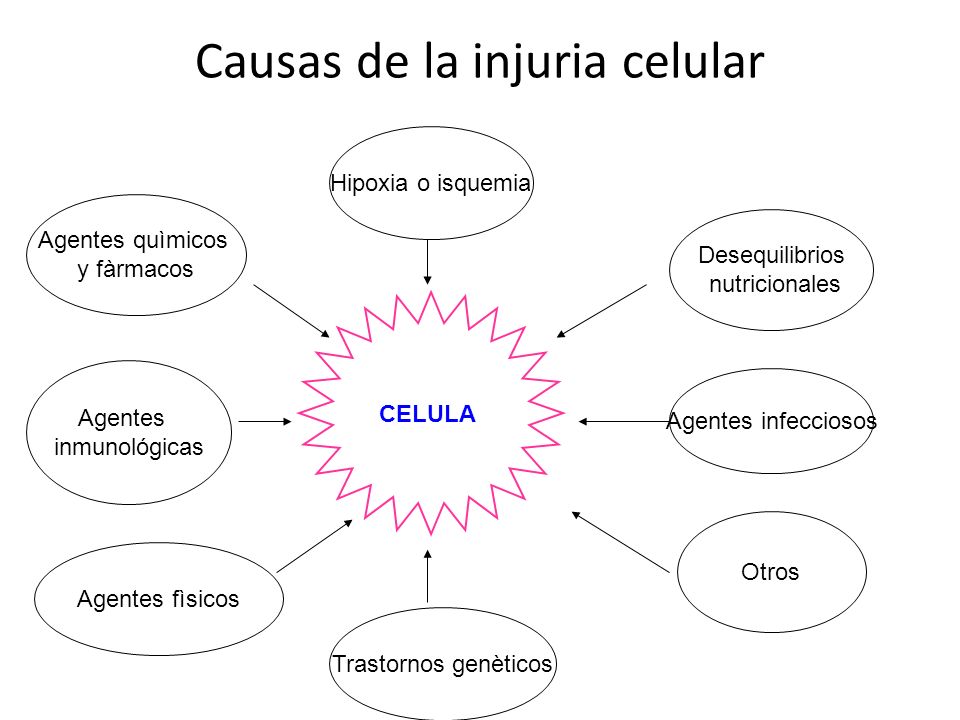 Causas de la injuria celular
