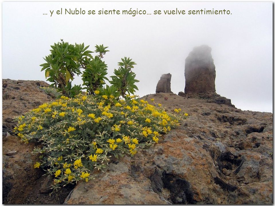 … y el Nublo se siente mágico… se vuelve sentimiento.