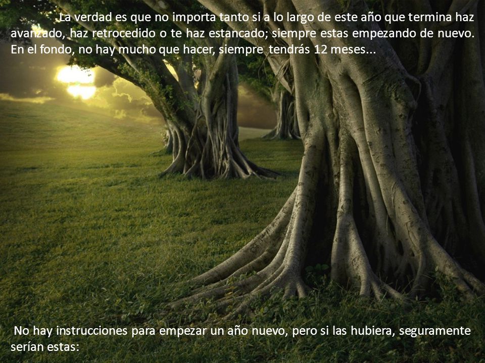 La verdad es que no importa tanto si a lo largo de este año que termina haz avanzado, haz retrocedido o te haz estancado; siempre estas empezando de nuevo. En el fondo, no hay mucho que hacer, siempre tendrás 12 meses...