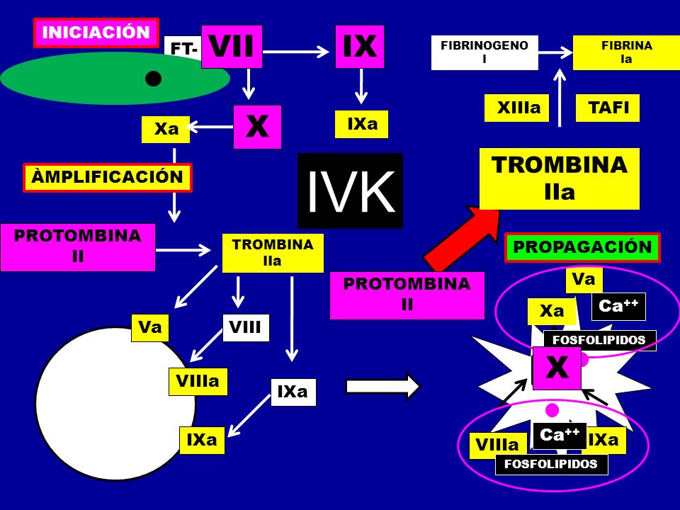 IVK VII IX X X TROMBINA IIa INICIACIÓN FT- VIIa IX XIIIa TAFI IXa Xa X