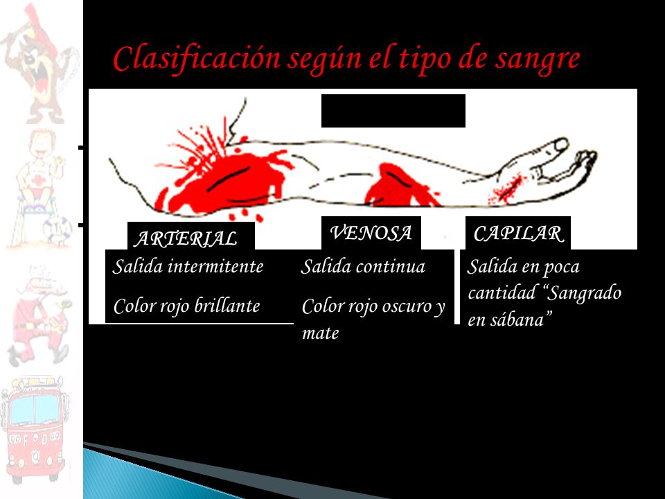 Clasificación según el tipo de sangre