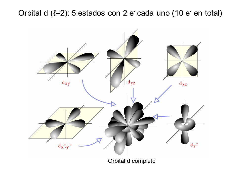 Orbital d (ℓ=2): 5 estados con 2 e- cada uno (10 e- en total)
