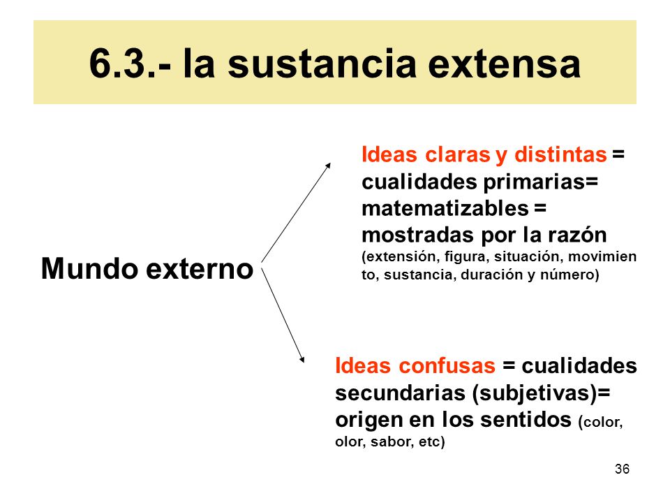 6.3.- la sustancia extensa Mundo externo Ideas claras y distintas =