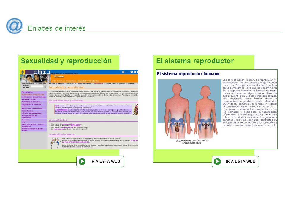 Sexualidad y reproducción El sistema reproductor