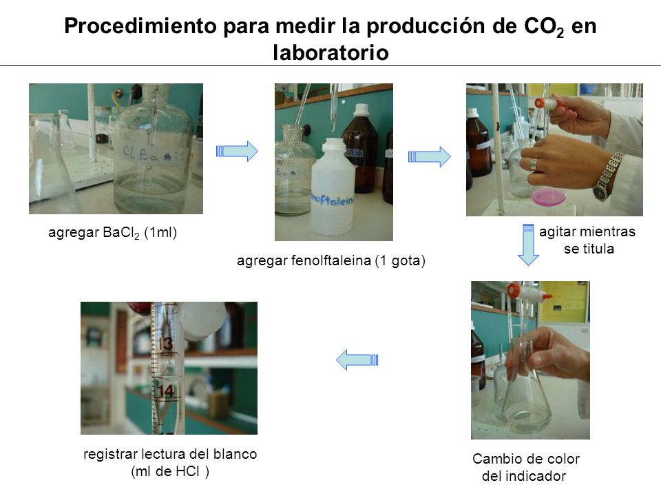 Procedimiento para medir la producción de CO2 en laboratorio