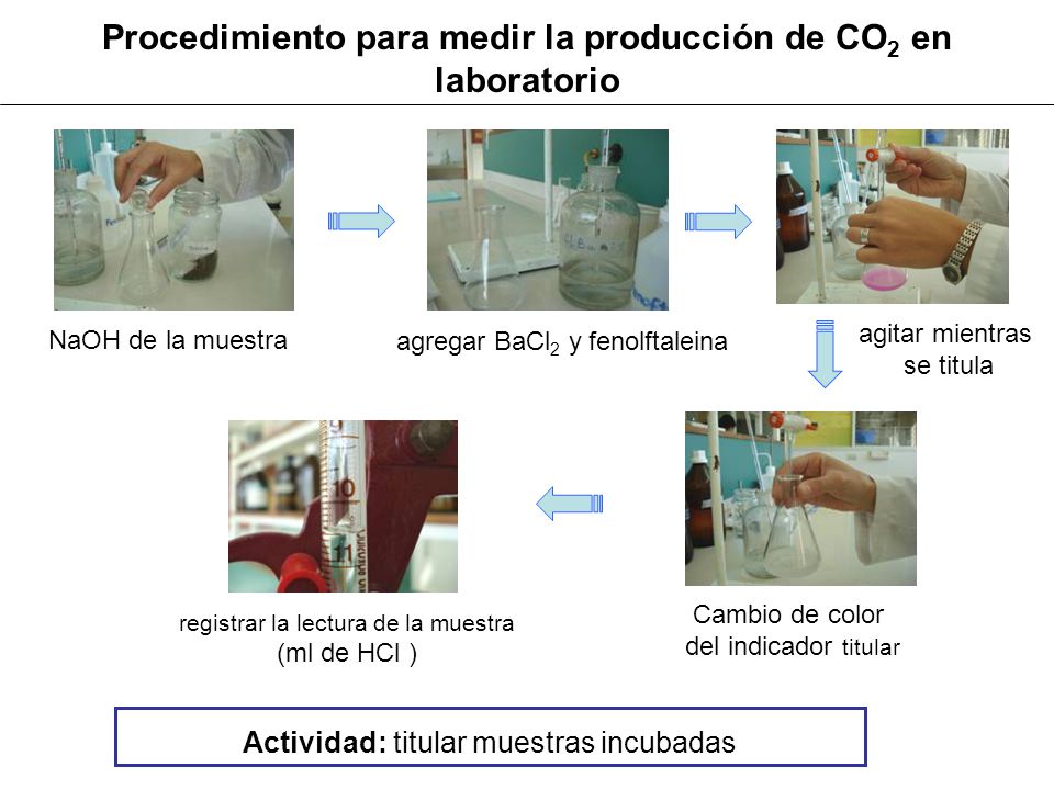 Procedimiento para medir la producción de CO2 en laboratorio