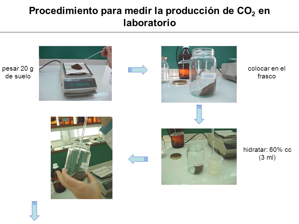 Procedimiento para medir la producción de CO2 en laboratorio