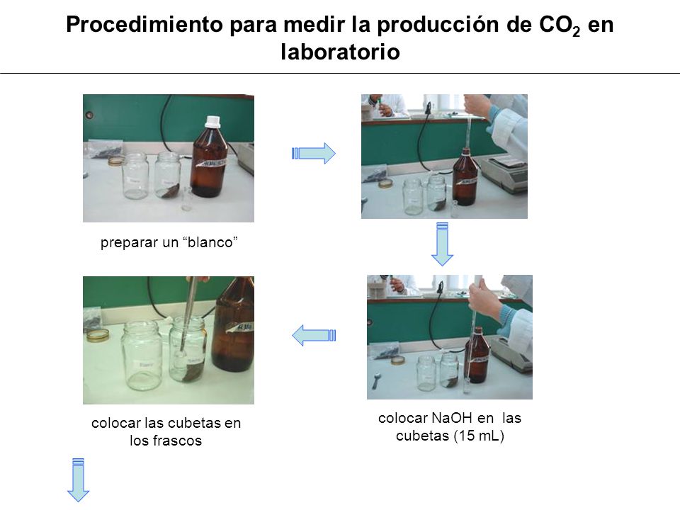 Procedimiento para medir la producción de CO2 en laboratorio