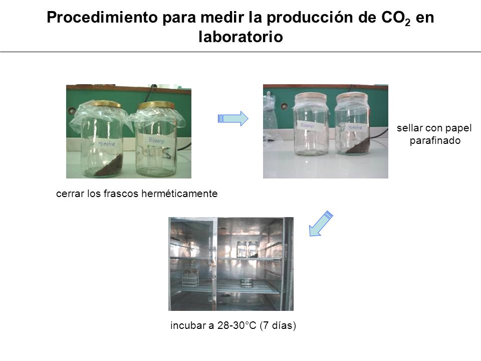 Procedimiento para medir la producción de CO2 en laboratorio