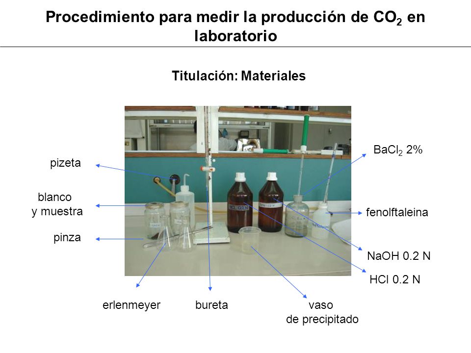 Procedimiento para medir la producción de CO2 en laboratorio