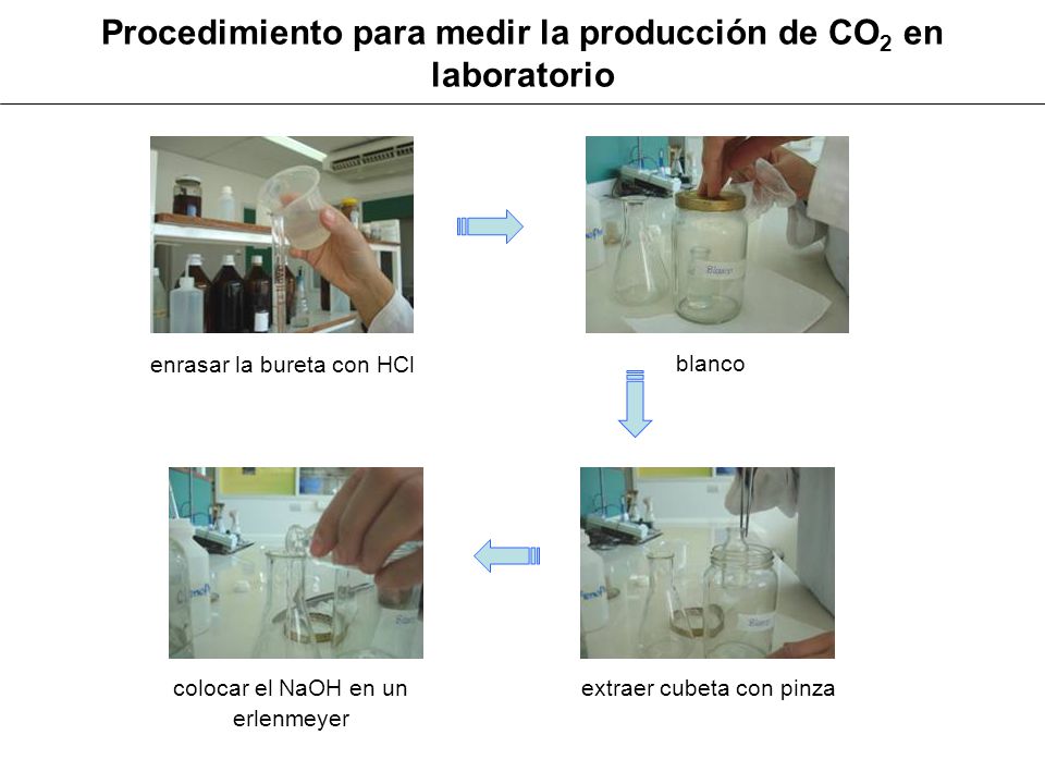 Procedimiento para medir la producción de CO2 en laboratorio