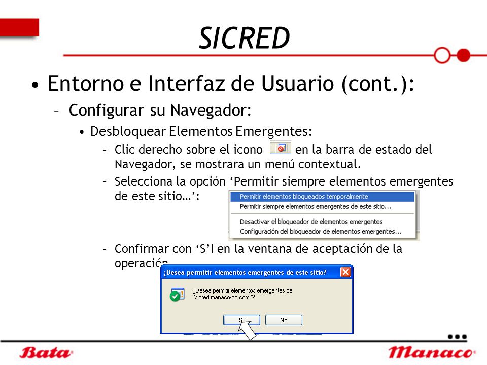 SICRED Entorno e Interfaz de Usuario (cont.): Configurar su Navegador:
