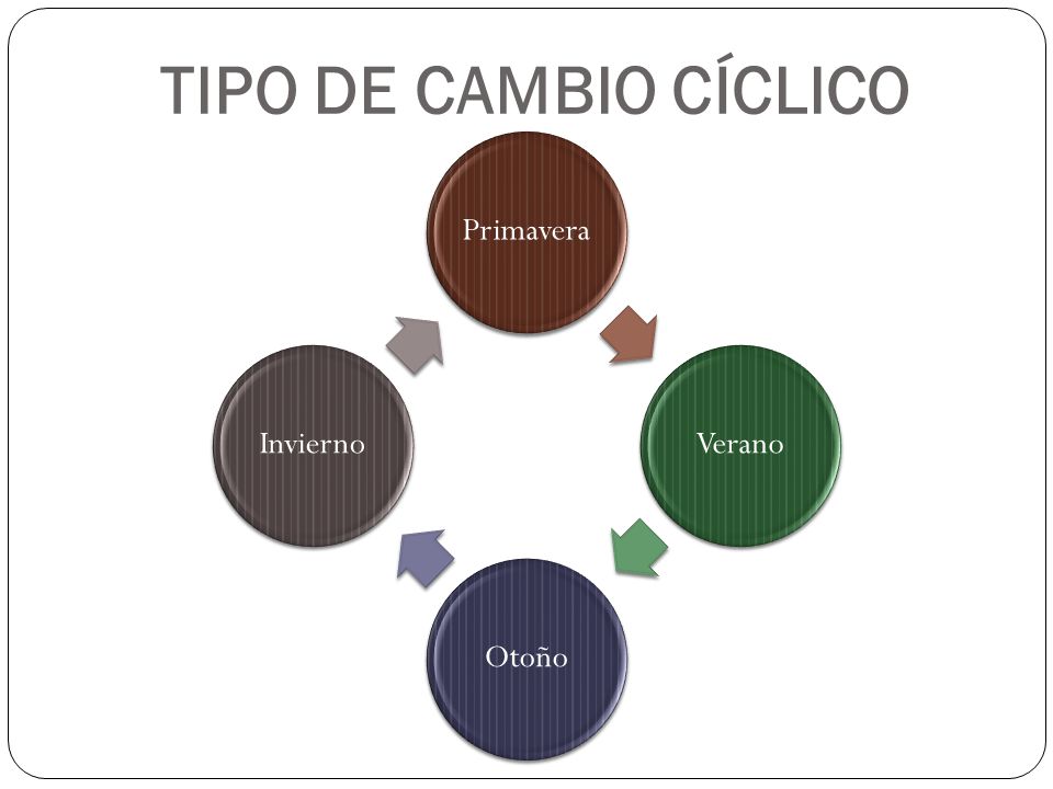 TIPO DE CAMBIO CÍCLICO Primavera Verano Otoño Invierno