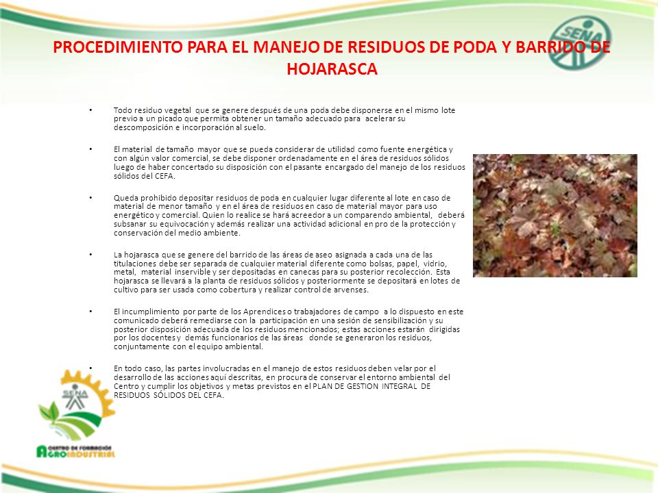 PROCEDIMIENTO PARA EL MANEJO DE RESIDUOS DE PODA Y BARRIDO DE HOJARASCA