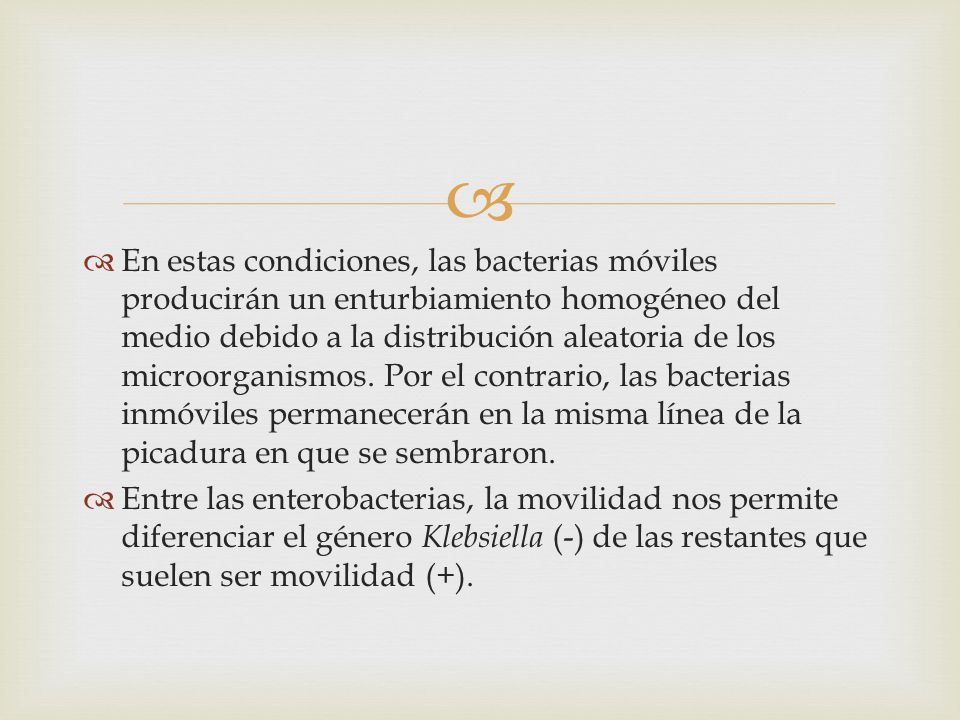 En estas condiciones, las bacterias móviles producirán un enturbiamiento homogéneo del medio debido a la distribución aleatoria de los microorganismos. Por el contrario, las bacterias inmóviles permanecerán en la misma línea de la picadura en que se sembraron.