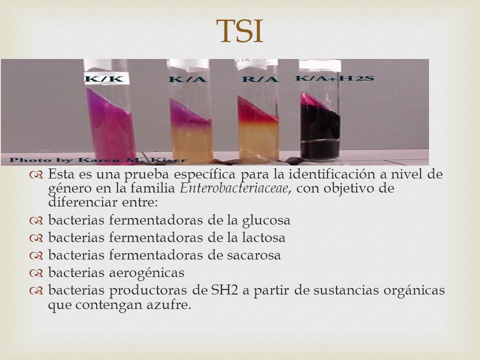 TSI Esta es una prueba específica para la identificación a nivel de género en la familia Enterobacteriaceae, con objetivo de diferenciar entre: