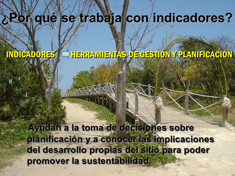 ¿Por qué se trabaja con indicadores