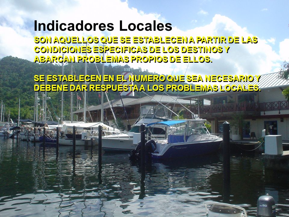 Indicadores Locales SON AQUELLOS QUE SE ESTABLECEN A PARTIR DE LAS CONDICIONES ESPECIFICAS DE LOS DESTINOS Y ABARCAN PROBLEMAS PROPIOS DE ELLOS.