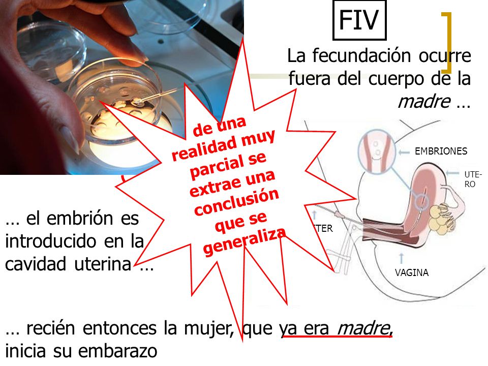 realidad muy parcial se extrae una conclusión que se generaliza