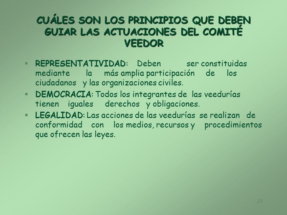 CUÁLES SON LOS PRINCIPIOS QUE DEBEN GUIAR LAS ACTUACIONES DEL COMITÉ VEEDOR