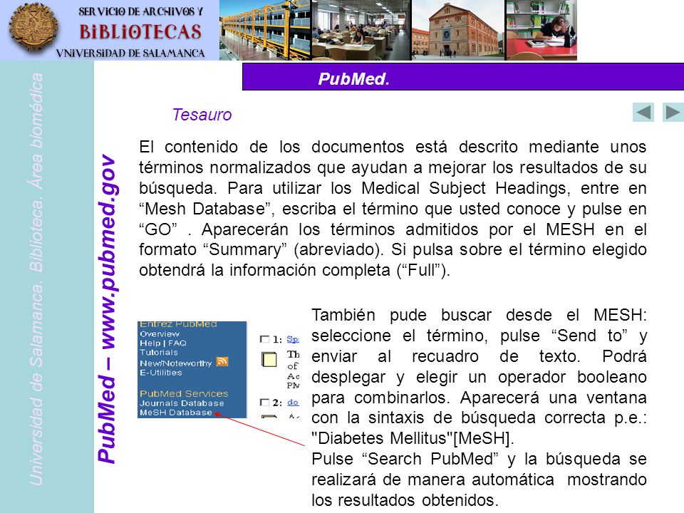 PubMed –   PubMed. Tesauro