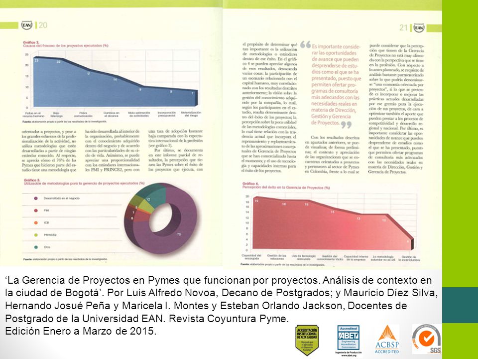 ‘La Gerencia de Proyectos en Pymes que funcionan por proyectos