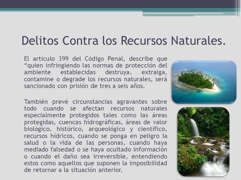 Delitos Contra los Recursos Naturales.
