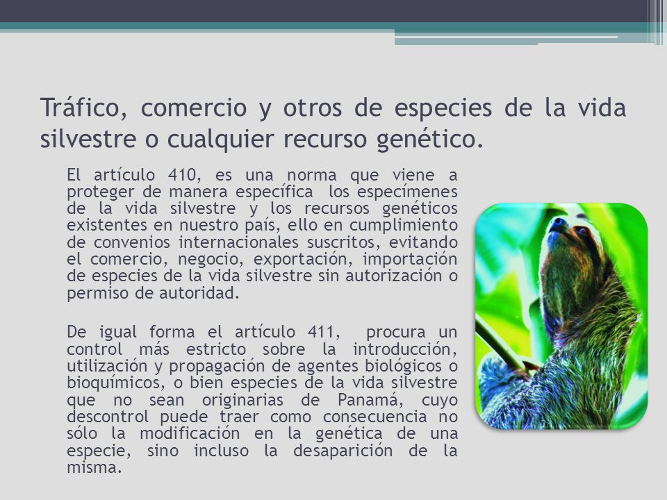Tráfico, comercio y otros de especies de la vida silvestre o cualquier recurso genético.