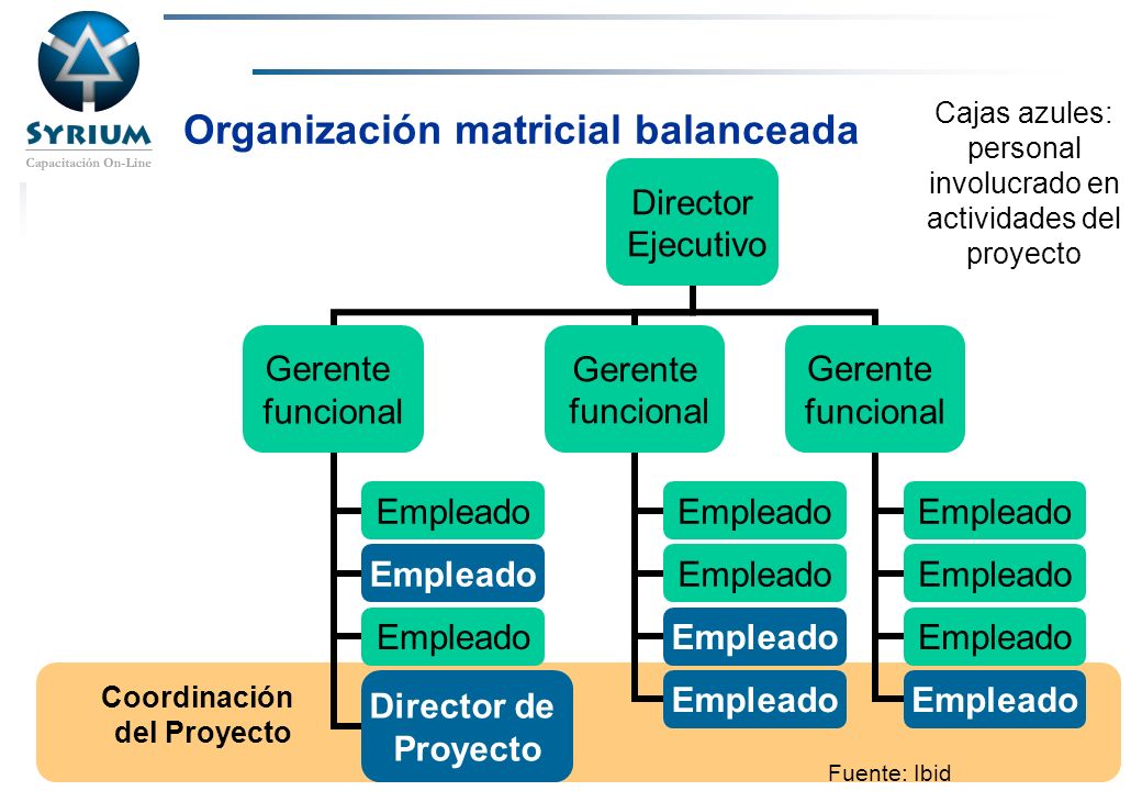 Organización matricial balanceada