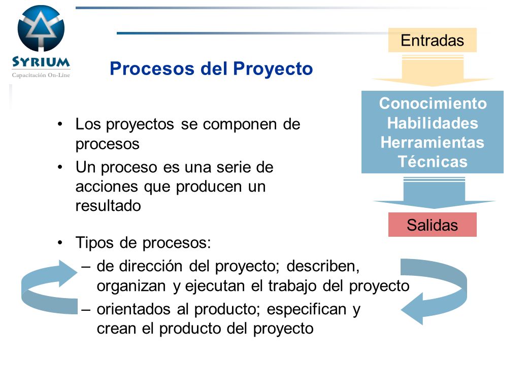 Procesos del Proyecto Entradas Conocimiento Habilidades