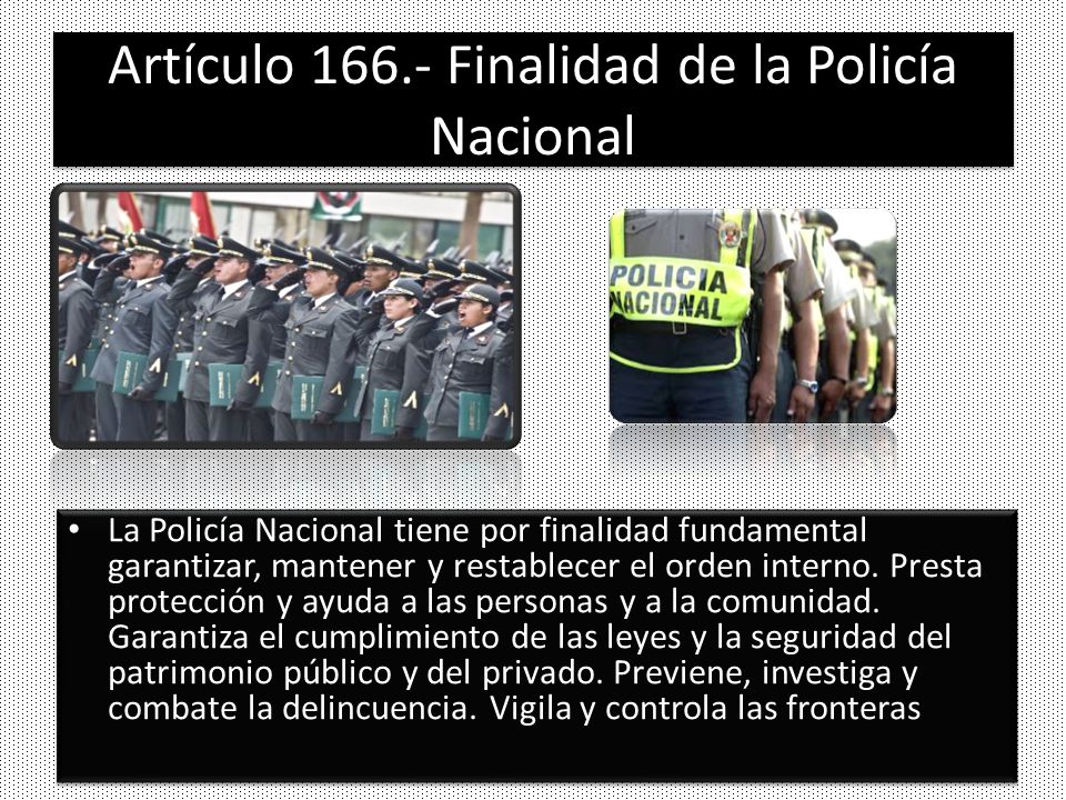 Artículo Finalidad de la Policía Nacional