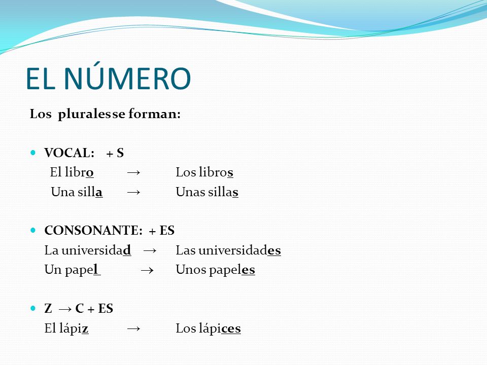 EL NÚMERO Los plurales se forman: VOCAL: + S El libro → Los libros
