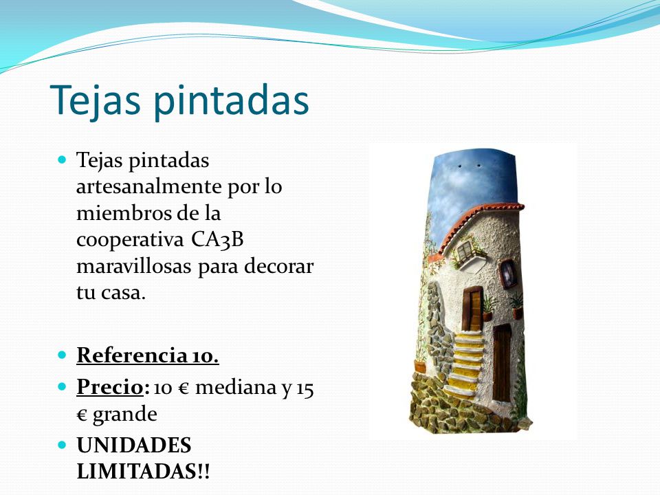 Tejas pintadas Tejas pintadas artesanalmente por lo miembros de la cooperativa CA3B maravillosas para decorar tu casa.