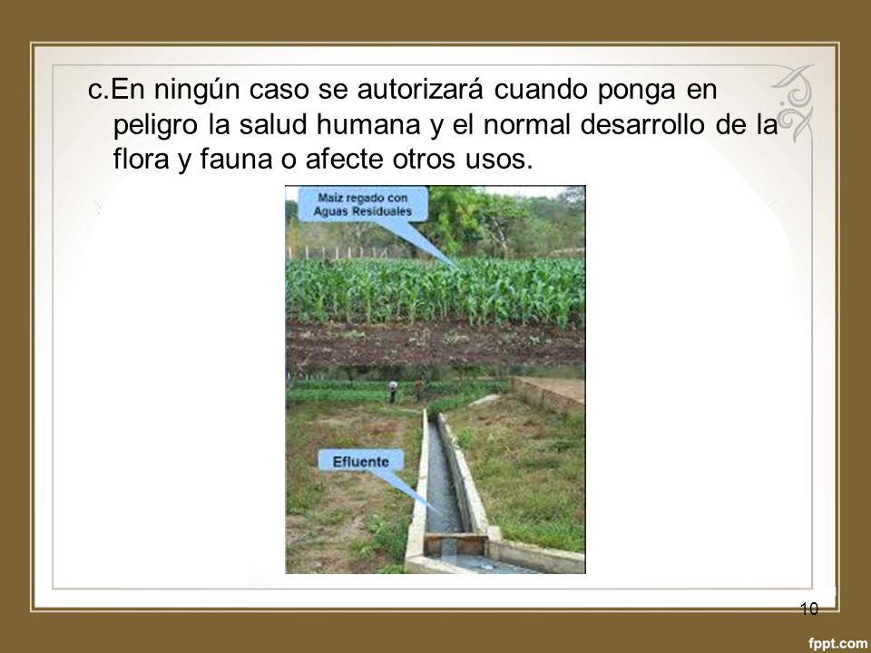 c.En ningún caso se autorizará cuando ponga en peligro la salud humana y el normal desarrollo de la flora y fauna o afecte otros usos.
